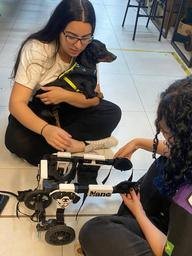 Magic Pet: Cadeiras de Rodas Gratuitas para Animais com Deficiência Física